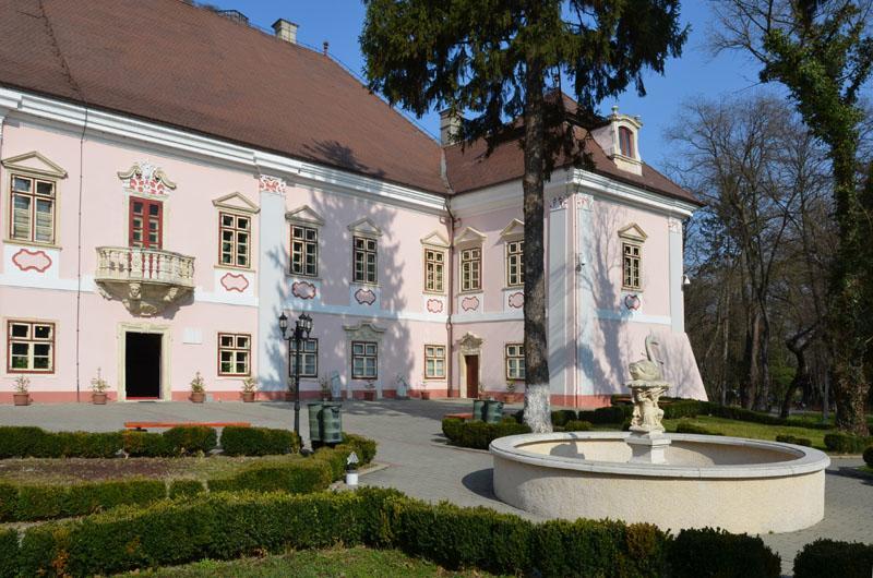 Vila Europa Клуж-Напока Экстерьер фото